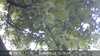 20230829112334-DSCF0051.JPG