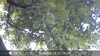20230829113538-DSCF0053.JPG