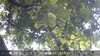 20230829132638-DSCF0087.JPG