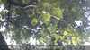 20230829134308-DSCF0095.JPG