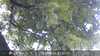 20230830075521-DSCF0145.JPG