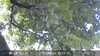 20230830101935-DSCF0159.JPG
