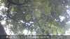 20230830131035-DSCF0203.JPG