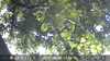 20230830132454-DSCF0217.JPG