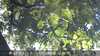 20230830133458-DSCF0227.JPG