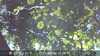 20230830142847-DSCF0251.JPG