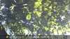 20230830155000-DSCF0373.JPG