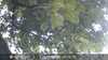 20230830161233-DSCF0397.JPG