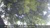 20230830161751-DSCF0401.JPG