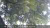 20230830182522-DSCF0495.JPG
