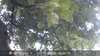 20230830190510-DSCF0497.JPG