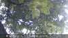 20230830191732-DSCF0501.JPG