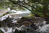 20230912123127-DSCN6070.JPG