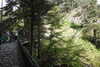 20230912123147-DSCN6071.JPG