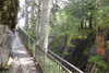 20230912123442-DSCN6083.JPG