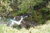 20230912123535-DSCN6085.JPG