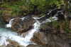 20230912123540-DSCN6086.JPG