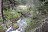 20230912132232-DSCN6143.JPG
