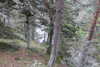 20230912132322-DSCN6144.JPG