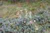 20230912132439-DSCN6145.JPG