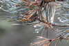 20230912132535-DSCN6148.JPG