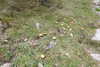 20230912132813-DSCN6153.JPG