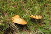 20230912132819-DSCN6154.JPG
