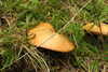 20230912132825-DSCN6155.JPG
