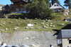 20230914101551-DSCN6170.JPG