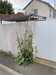 2023-09-20:La Faute Sur Mer
