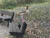 2023-11-03:Goslings
