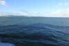 20231128160507-DSCN6341.JPG