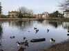 2023-12-26:Chislehurst ducks

