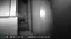 2024-01-07:Mouse
