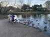 2024-01-09:Ducks
