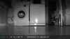 2024-01-11:Mouse
