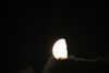 20240401064716-DSCN6380.JPG