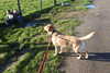 20240401092403-DSCN6399.JPG