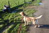 20240401092405-DSCN6400.JPG