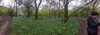 2024-04-28:Bluebell Walk
