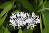 20240504144358-DSCN6417.JPG