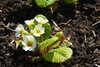 20240504144658-DSCN6419.JPG