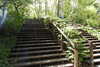 20240504145129-DSCN6423.JPG