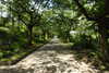 20240504145137-DSCN6424.JPG