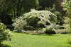 20240504145353-DSCN6427.JPG