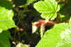 20240504145429-DSCN6429.JPG