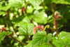 20240504145438-DSCN6430.JPG