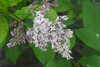 20240504145616-DSCN6434.JPG
