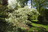 20240504145653-DSCN6435.JPG