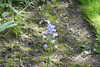 20240504145714-DSCN6436.JPG